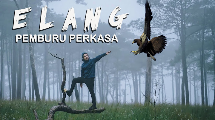 ELANG Gunung RAUNG Berburu Mangsa - Atap Negeri Jawa Timur  @R88