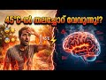 ഈ ചൂടിൽ നിങ്ങൾ cool അല്ല… heat absorb ആണ്! ☀️⚠️