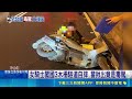 婦吸安毒騎上國道亂撞 全台半個月查千件毒駕 吸完安非他命飆上國道 女騎士木柵隧道自撞｜記者 蕭羽秀 何孟哲｜三立新聞LIVE