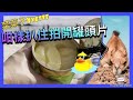 ［在澳洲海灘食沙🏖 + 手工脆蛋餅測試🥠🥠］Australia Beach + Crisp Egg Cookies / Yvette’s Design 香港