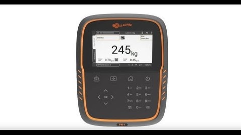 Gallagher TW-1 Weigh Scale - Physical Features