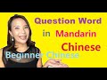Question Word in Mandarin Chinese (HSK1 | Beginner's Chinese | SMART Mandarin)