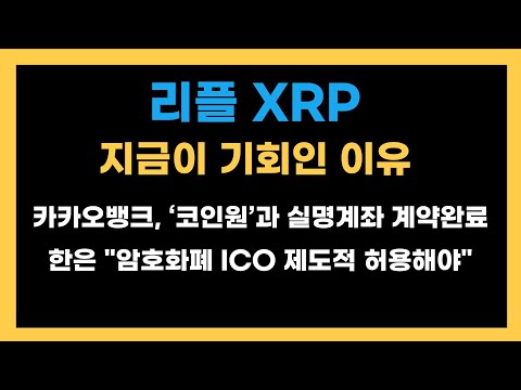   리플 Xrp 지금이 기회인 이유 카카오뱅크 코인원과 실명계좌 계약완료