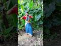 Mera Kangana #shorts #dance #trending #vairalvideo #ytshorts