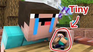 Monster School : Noob and Tiny Steve - Minecraft Animation