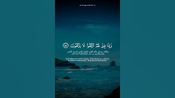 سلمان العتيبي - سورة المرسلات #allah #allahuakbar #quran #الحمدلله #قرآن #لا_اله_الا_الله #مكة