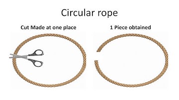 Restriction mapping of circular and linear DNA- Basics II CSIR NET II GATE