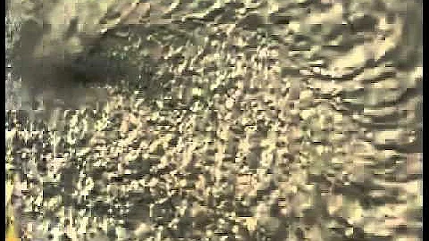 video avi 55 flv FLVLQ by 3outube