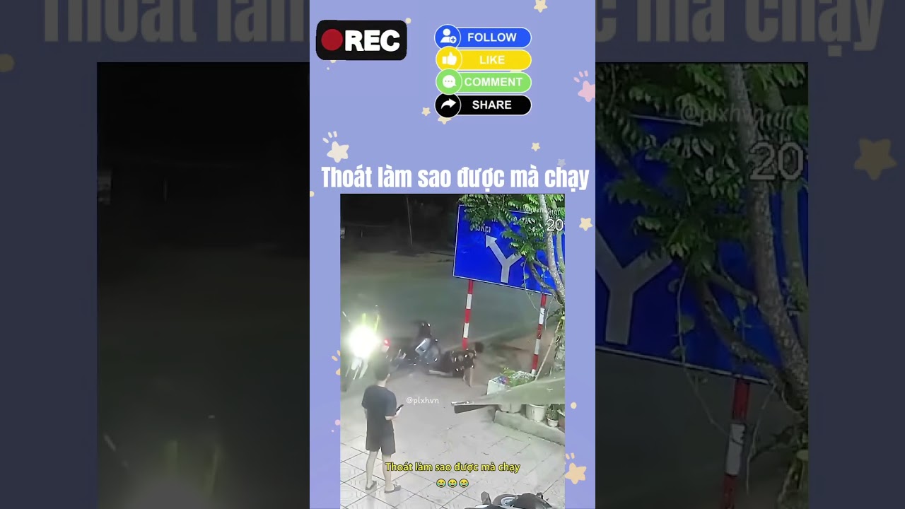 Thoát làm sao được mà chạy #nhacsongtv #nhachaymoingay #film #lyrics #cover #music #hàihước