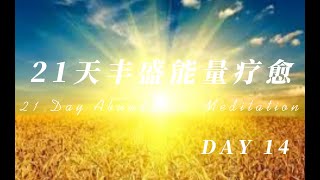 第14天21天创造丰盛之旅 21 Day abundance meditation  Day 14 (中文版本）（Chinese Version)