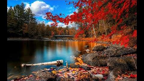 سورة ياسين بصوت القارئ زكي داغستاني