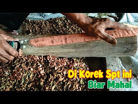 Cara Buat Kulit Kayu Manis