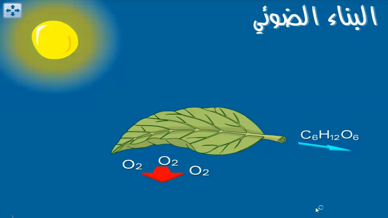 فلاش تعليمي سريع حول التركيب الضوئي علوم طبيعية سنة أولى متوسط