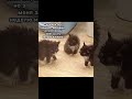 Сложная неделька
