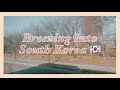 Breezing Into South Korea (A Vlog)~ | KUL -ICN | Flying to South Korea~