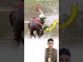 الكلب لا يمل من مرافقتك ولا يتوانى عن بذل جهده ليعينك حتى وإن أثقلتك الحياة Explore Shorts الكلب لا يمل من مرافقتك ولا يتوانى عن بذل جهده ليعينك حتى وإن أثقلتك الحياة Explore Shorts