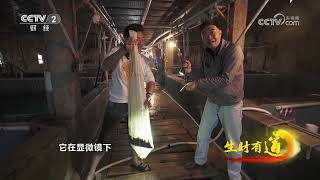《生财有道》 20230411 生态中国沿海行——福建诏安：用好海资源 做好海文章| 财经风云