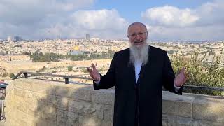הושענא רבה - מקור צמיחה וברכה | הרב שמואל אליהו | הלכה יומית כ"א תשרי תשפ"ב