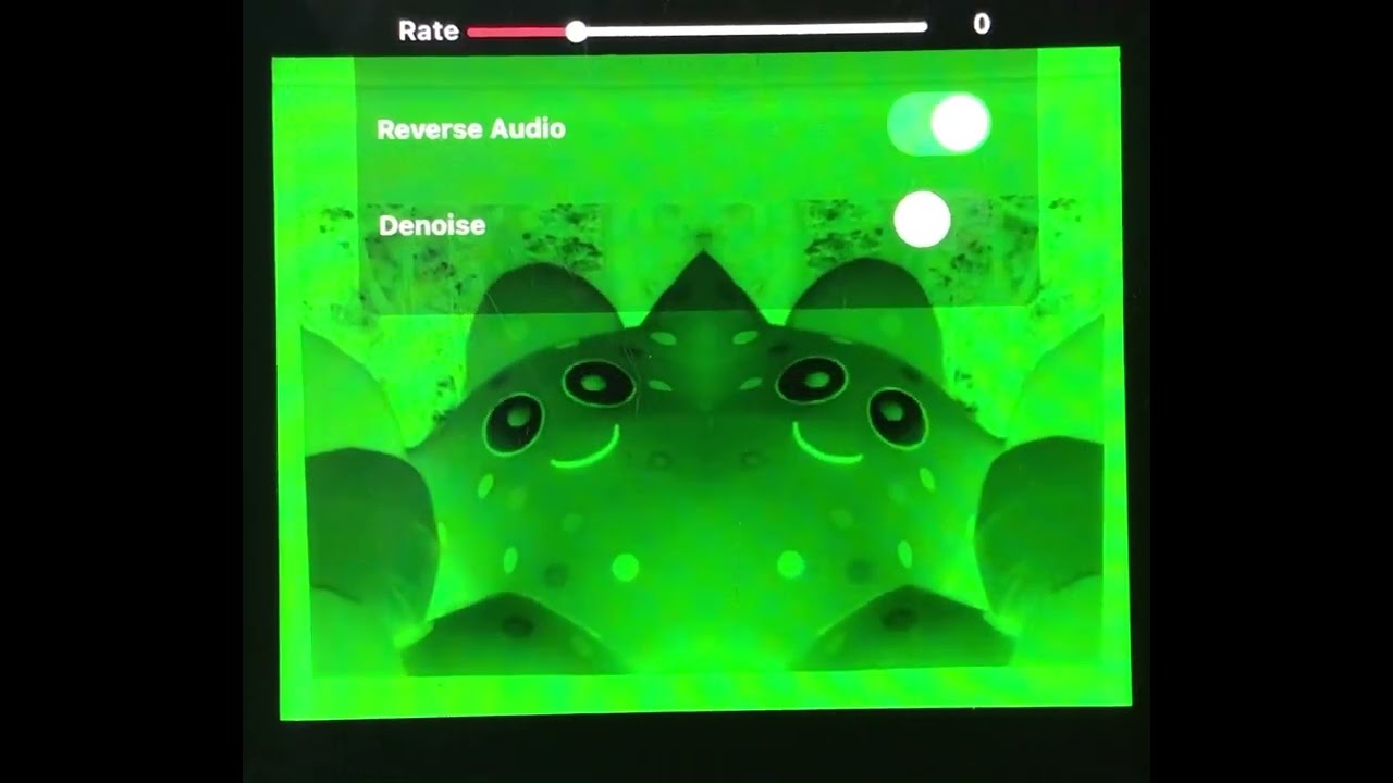 Hello Haahoos! in Green CoNfUsIoN 