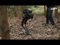 Kinezi pustili robota u šumu: Preživio batine i ostao na nogama (VIDEO)