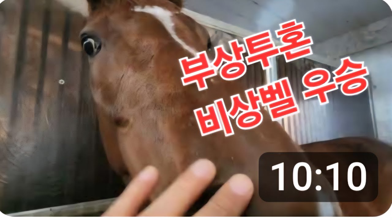 부상투혼 비상벨 우승/ 이럴수가?