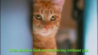 Hanya Rindu - Andmesh, Covered Kurt Schneider (Lirik)