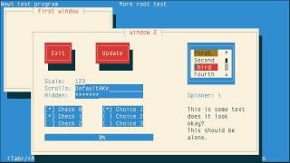 Newt/Whiptail, S-Lang textual UI toolkit, test examples