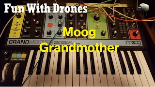 Fun With Drones - Synth 6 - Moog Grandmother