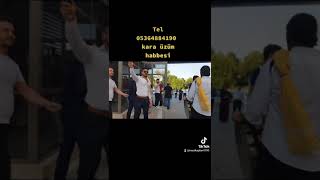 Kara Üzüm Habbesi