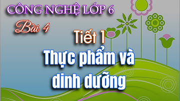 Công nghệ 6 | Bài 4 | Thực phẩm và dinh dưỡng (Tiết 1)