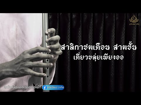สาลิกาชมเดือน สามชั้น - เดี่ยวขลุ่ยเพียงออ | ดุริยวัฒน์ วาทิต [Audio version]