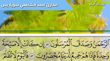 سورة طه للقارئ أحمد الشافعي تلاوة تفوق الوصف