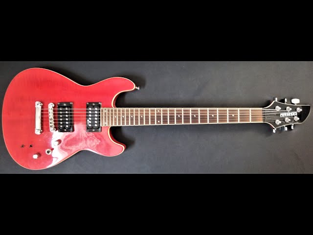 FERNANDES APG-55S サスティナー sddefault.jpg