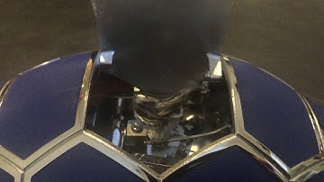 @MBANDF : Singing bird Kelys & Chirp ••• LE MOINEAU SIFFLEUR PLANQUÉ DANS LA TORTUE