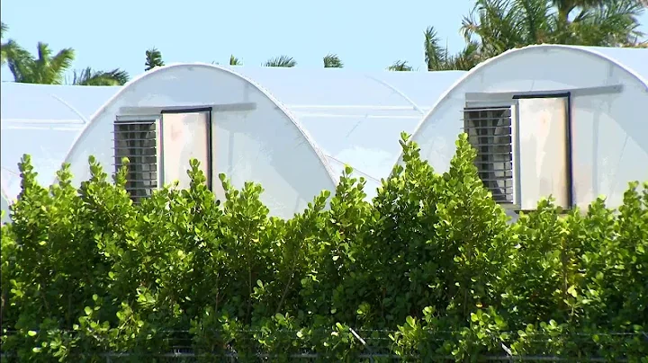 Can you complain about farm smells? (2023)