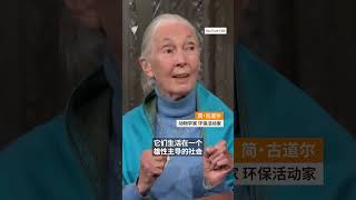 传奇动物学家简·古道尔逝世,享年91岁 | SBS中文