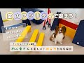 初心者練習法を伝授♪わんこにやさしい室内アジリティで遊ぼ！