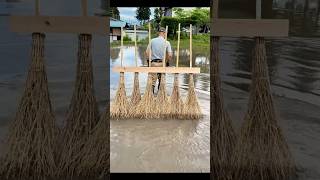 Why Japanese Organic Farmers Still Trust This Brilliant Handmade Weeder labor