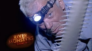 Jeremy Wade Catches His First Sawfish After 20 Years! | SAWFISH | River Monsters