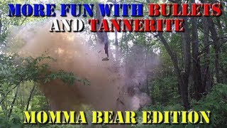More Fun with Bullets and Tannerite - Momma Bear Edition