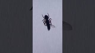 Aranha captura mosca na tela do computador em pleno voo.