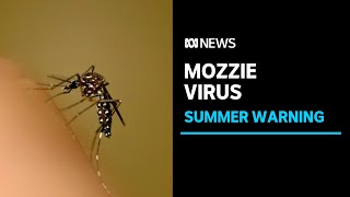 Japanese encephalitis virus warning ahead of wet summer | ABC News