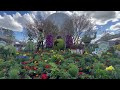Epcot Flower and Garden Festival 2026 with Woody and Buzz