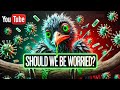 Professor Kovu Investigates: Bird Flu Panic and Food Shortages – Are We Repeating History?