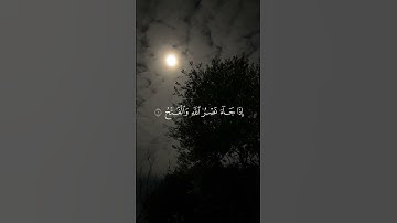 سوره النصر#اكسبلور #المصحف #video #دويتو #القزابري #viralvideo #تيك_توك #الرحمن #ترند #الطحان