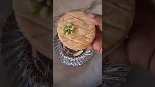 pineapple pie