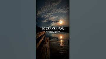 تلاوة قرانية هادئه من سورة النمل |بصوت القارئ سعد الغامدي | تلاوة 🙂 تريح القلب♥والروح😇#قرآن_كريم