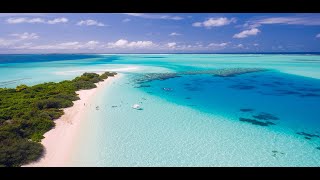 LK BOLERO 2024  NHẠC TRỮ TÌNH BẤT HỦ HAY NHẤT 2024  NHẠC VÀNG XƯA 2024 KÊNH MỚI KHÔNG QUẢNG CÁO