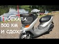 РЕМОНТ ПОСЛЕ РЕМОНТА! Honda Dio 34 Cesta.