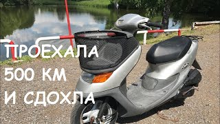 РЕМОНТ ПОСЛЕ РЕМОНТА! Honda Dio 34 Cesta.